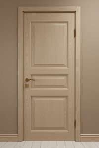 Двери деревянные из массива Ясеня покраска по RAL