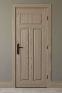 Двери деревянные - покраска RAL