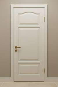 Двери деревянные - покраска RAL